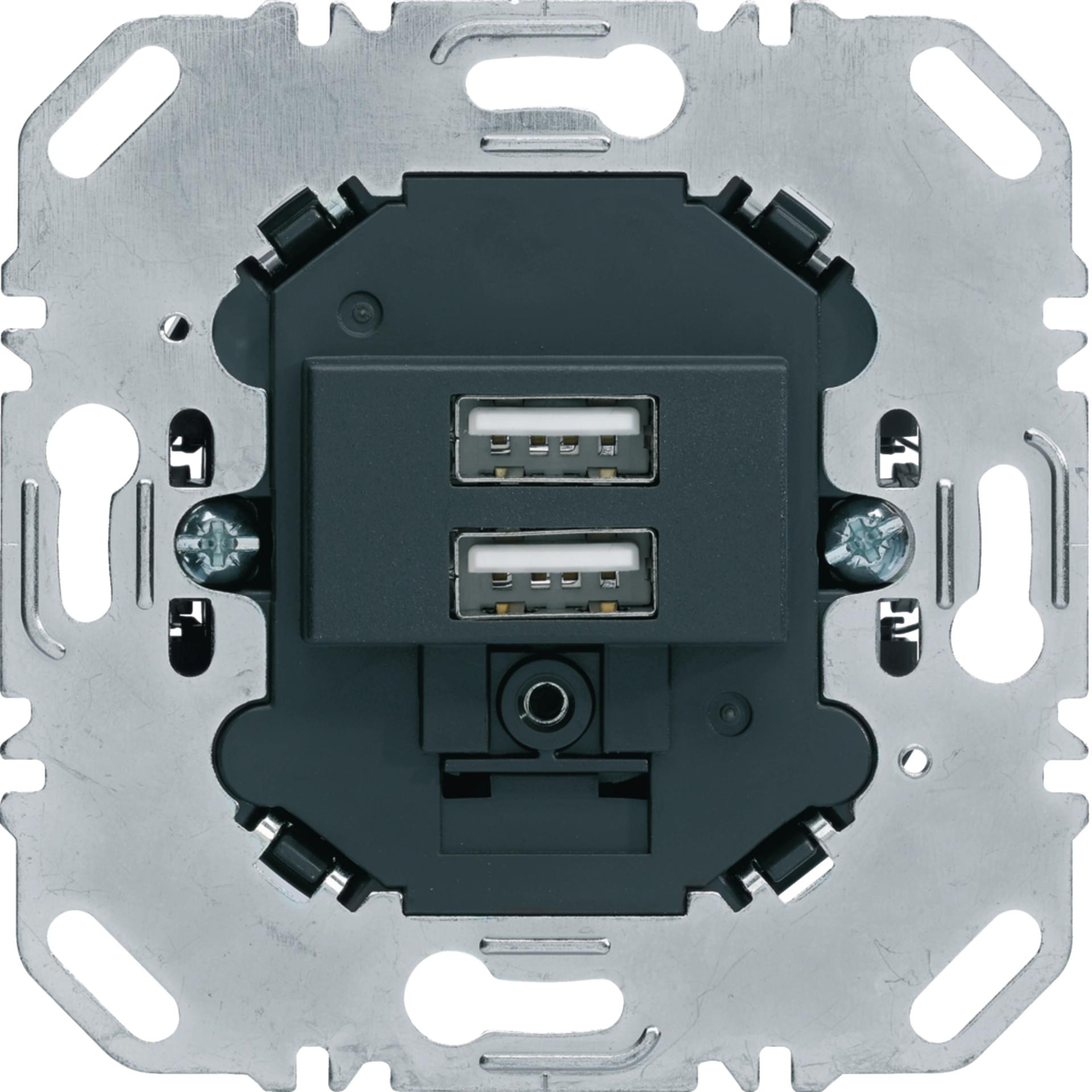 USB-розетка подвійна, 230В, антрацит